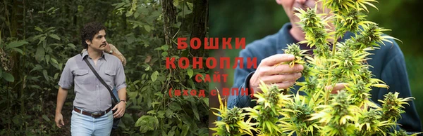 гидропоника Бронницы
